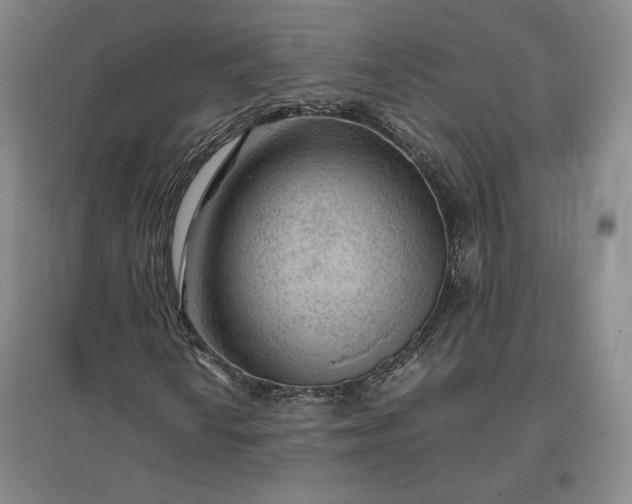 X0000096941010200802221315