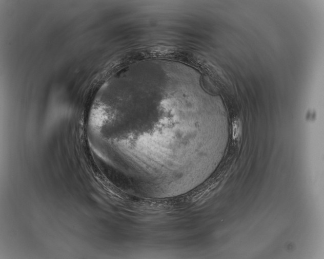 X0000096941011200802221315