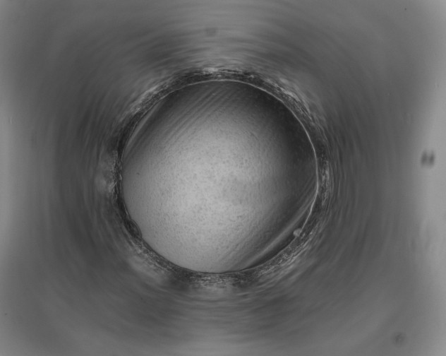 X0000096941012200802221315