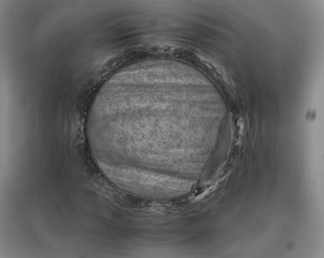 X0000096941013200802221315