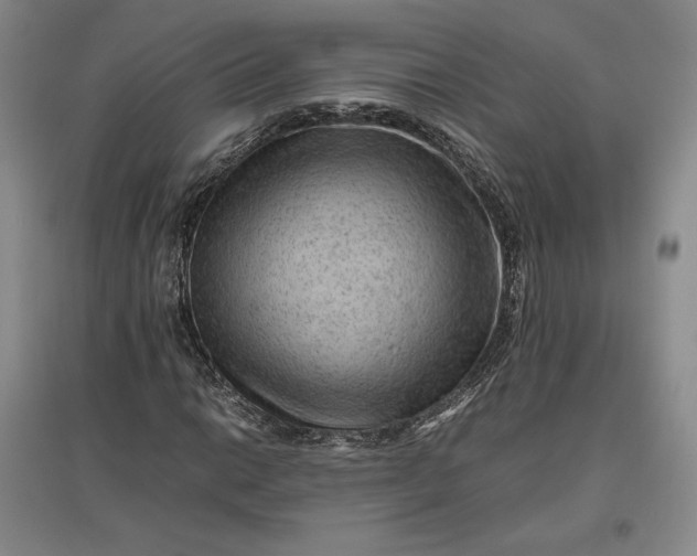 X0000096941014200802221315