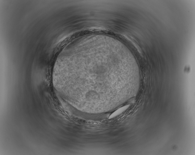 X0000096941015200802221315