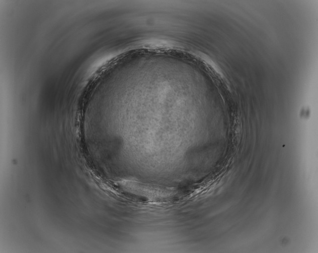 X0000096941016200802221315