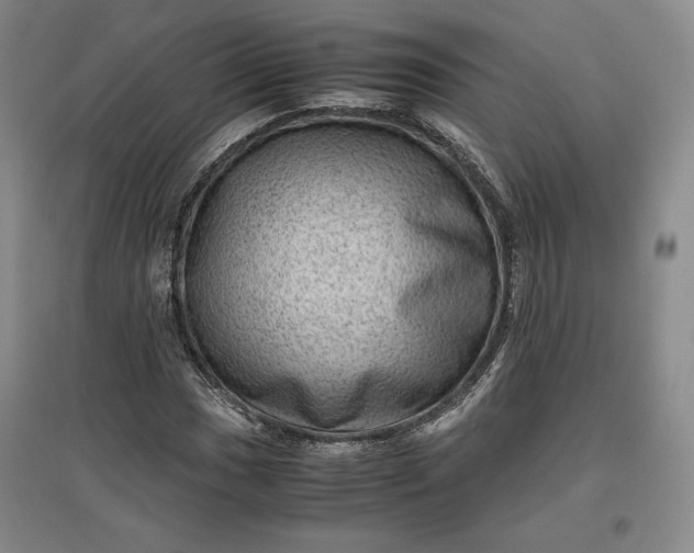 X0000096941017200802221315