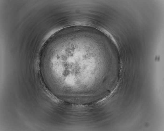 X0000096941019200802221315