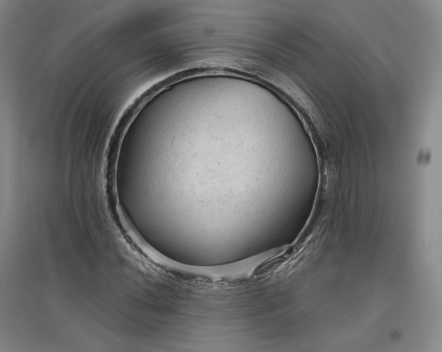 X0000096941020200802221315