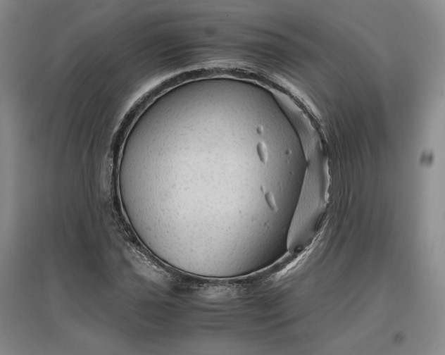 X0000096941021200802221315