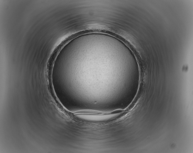 X0000096941022200802221315