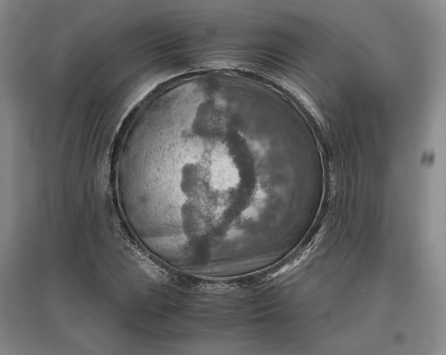 X0000096941023200802221315