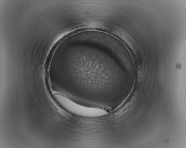 X0000096941024200802221315