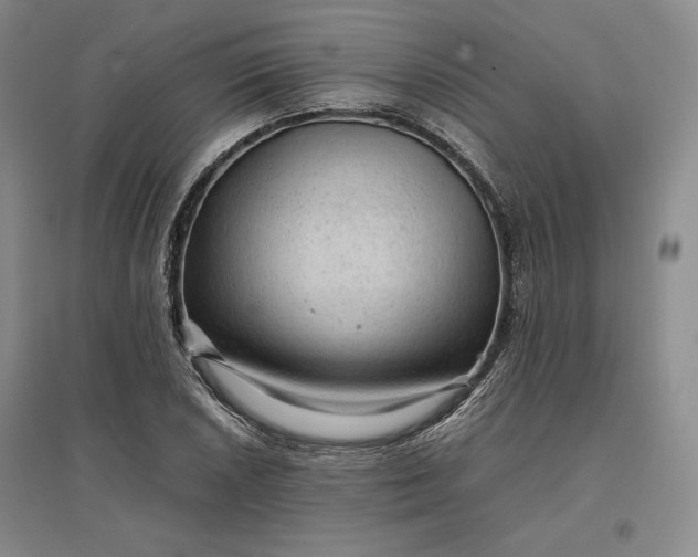 X0000096941026200802221315