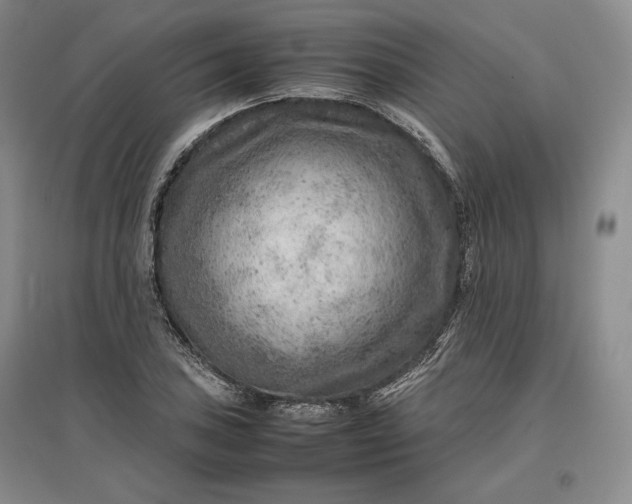 X0000096941027200802221315