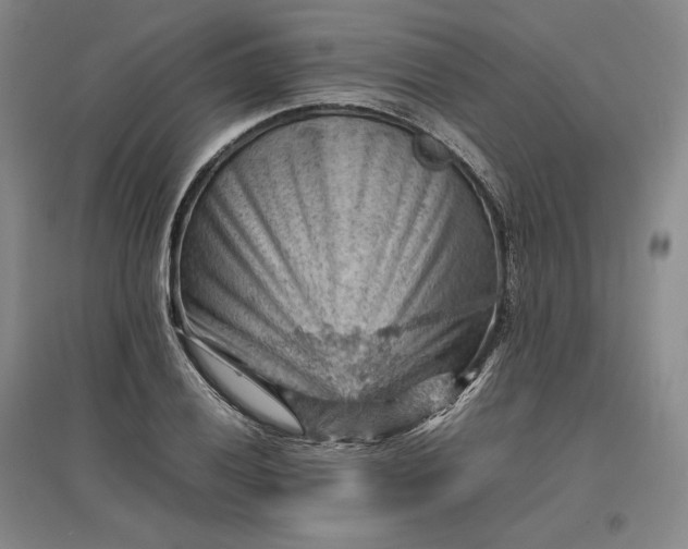 X0000096941028200802221315