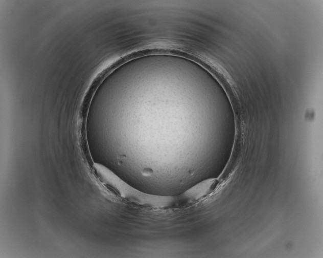 X0000096941029200802221315