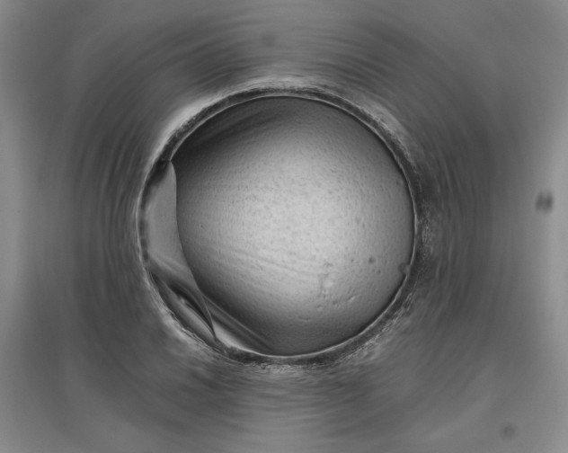 X0000096941030200802221315