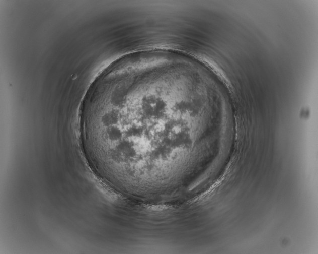 X0000096941031200802221315