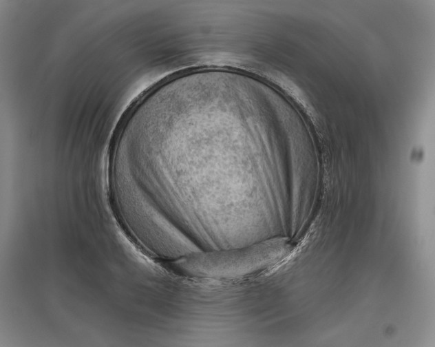 X0000096941032200802221315