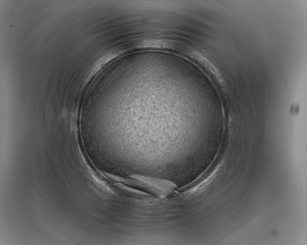 X0000096941033200802221315