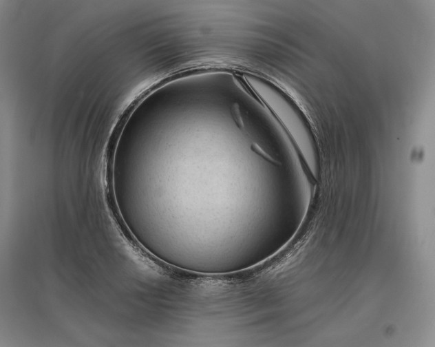 X0000096941034200802221315