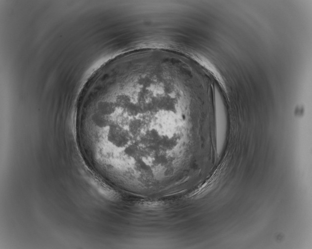 X0000096941035200802221315