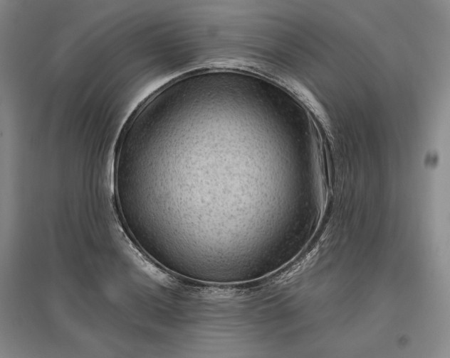 X0000096941036200802221315