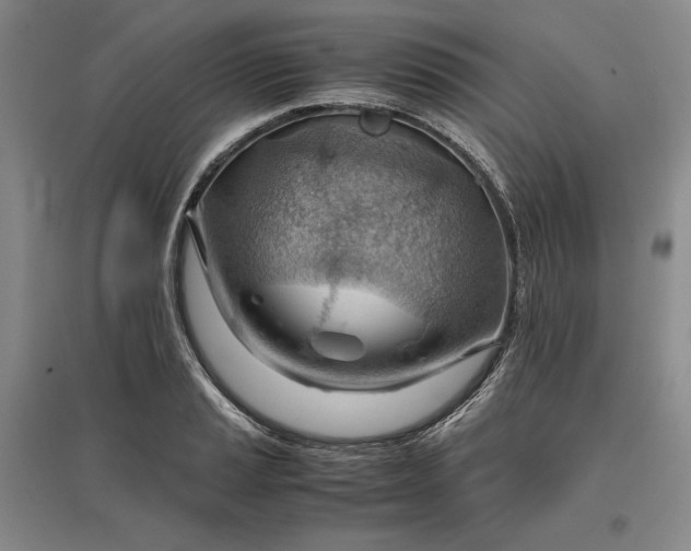 X0000096941037200802221315