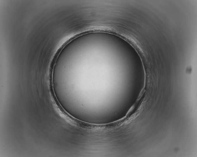 X0000096941038200802221315