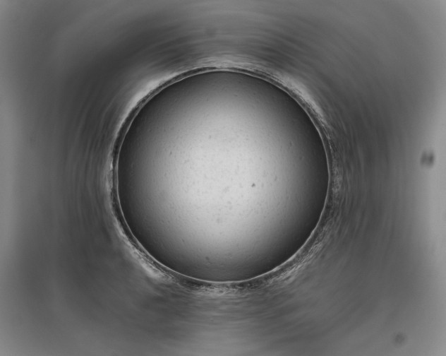 X0000096941040200802221315