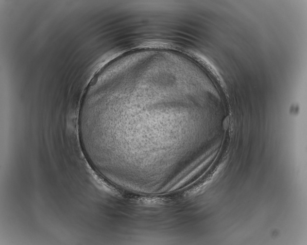 X0000096941041200802221315