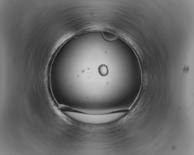 X0000096941042200802221315