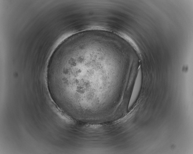 X0000096941043200802221315