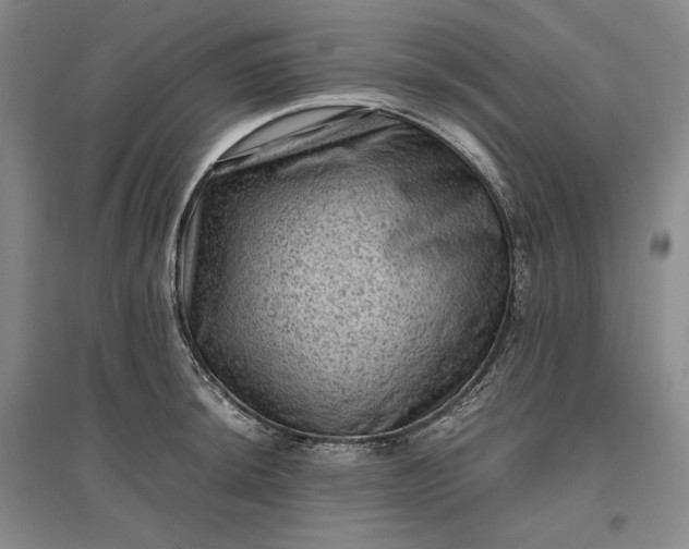 X0000096941044200802221316