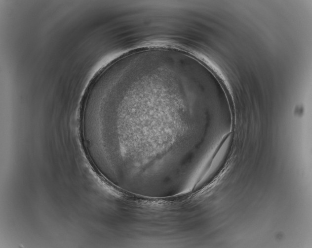 X0000096941045200802221316