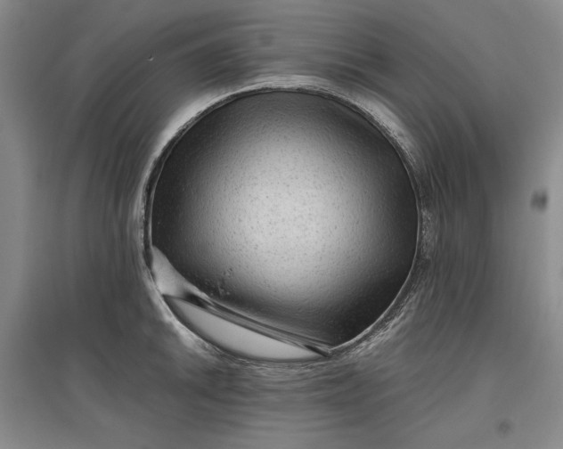 X0000096941046200802221316