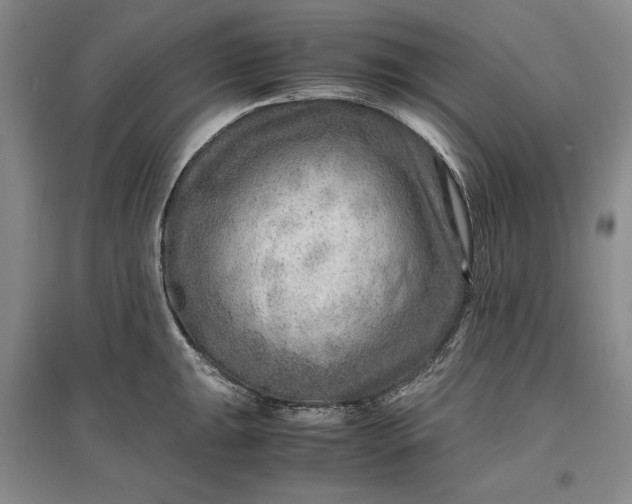 X0000096941047200802221316