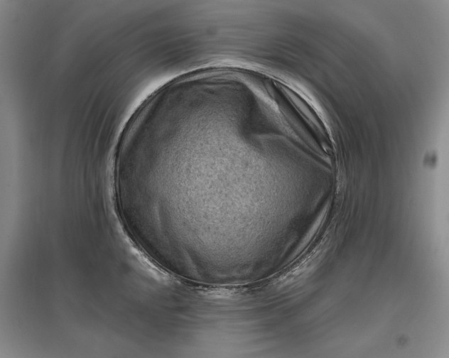 X0000096941048200802221316