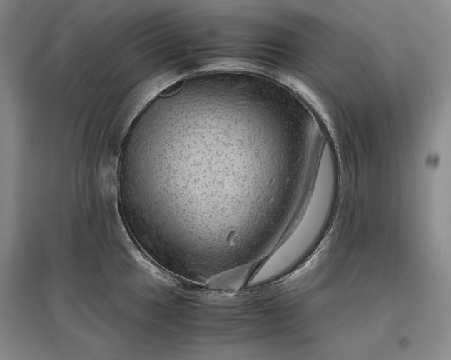 X0000096941049200802221316