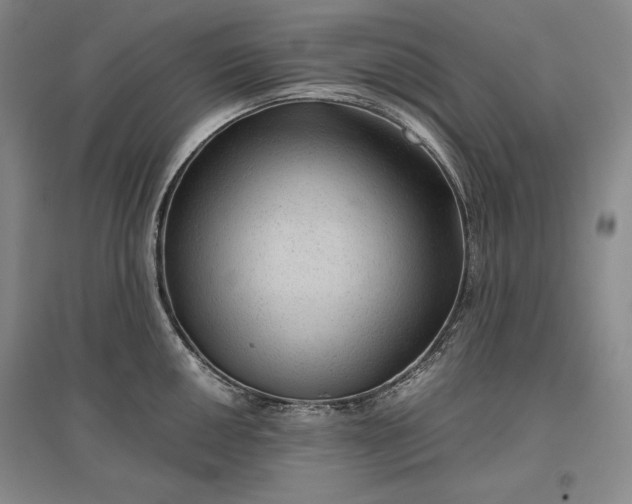 X0000096941050200802221316