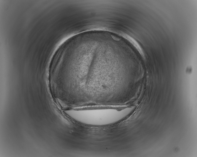 X0000096941051200802221316