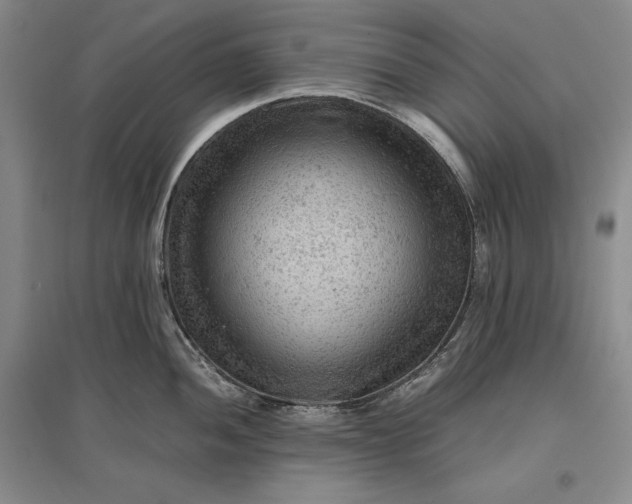 X0000096941052200802221316