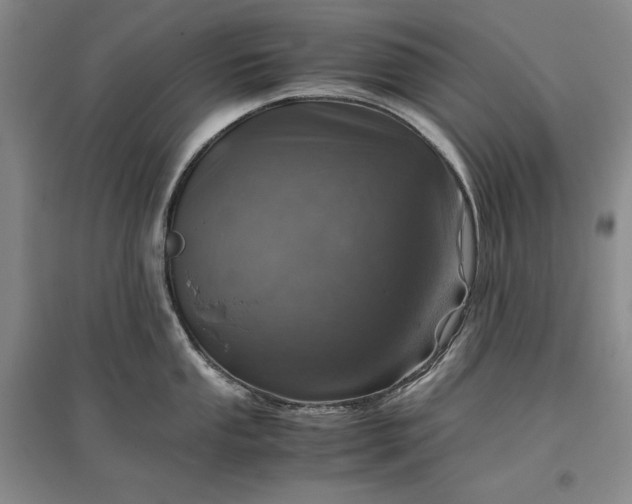 X0000096941053200802221316