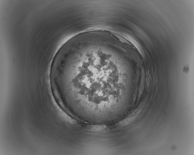 X0000096941055200802221316