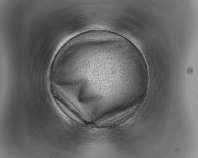 X0000096941056200802221316