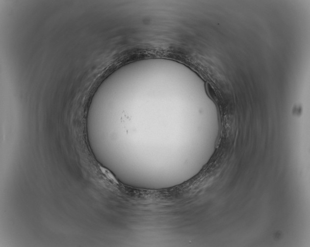 X0000096941057200802221315