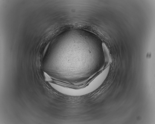 X0000096941058200802221315