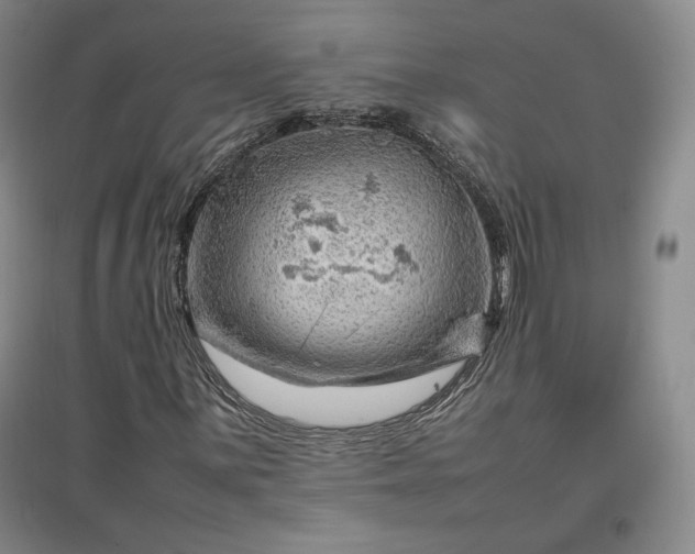 X0000096941059200802221315