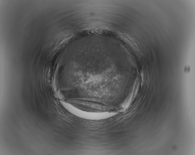 X0000096941060200802221315