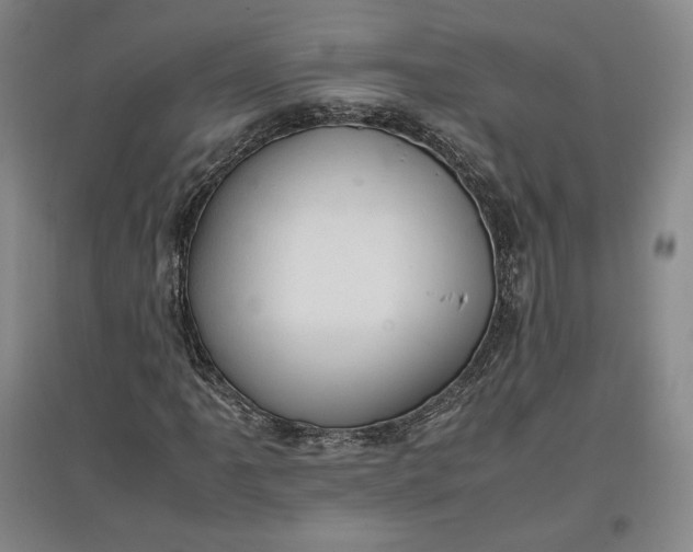 X0000096941061200802221315