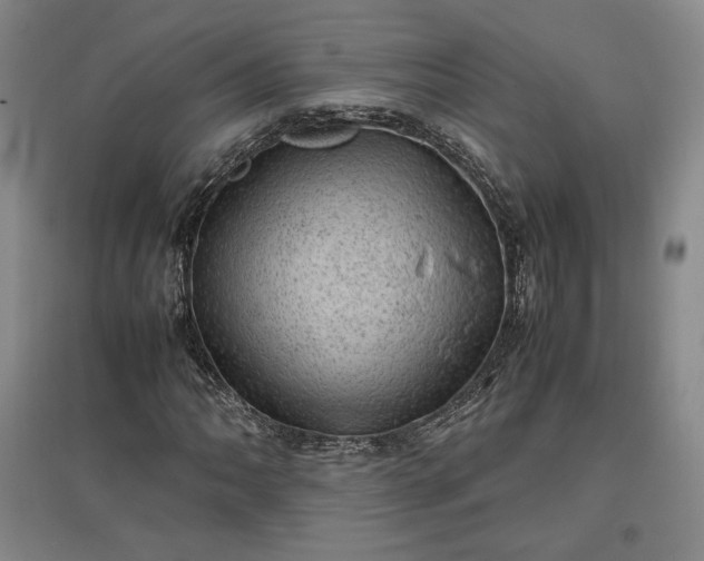 X0000096941062200802221315