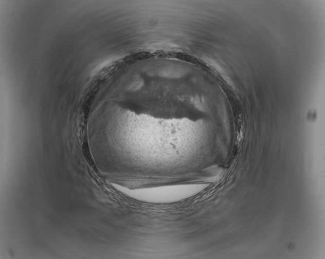 X0000096941063200802221315